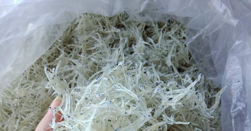 500g CÁ MỜM/ CÁ CƠM SỮA KHÔ loại 1