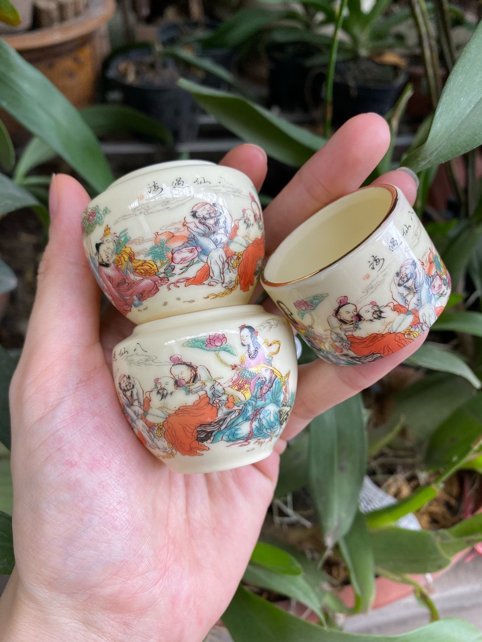 Cóng chim chào mào