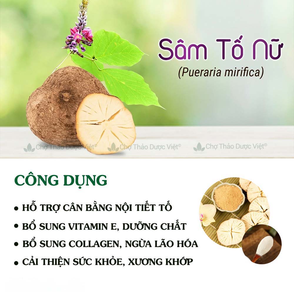 Bột sâm tố nữ nguyên chất 500g ( cung cấp estrogen một cách tự nhiên ) - Chợ thảo dược việt