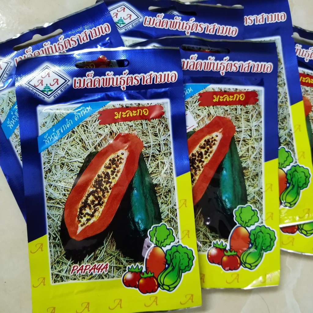 120h - hạt giống đu đủ thái punket papaya