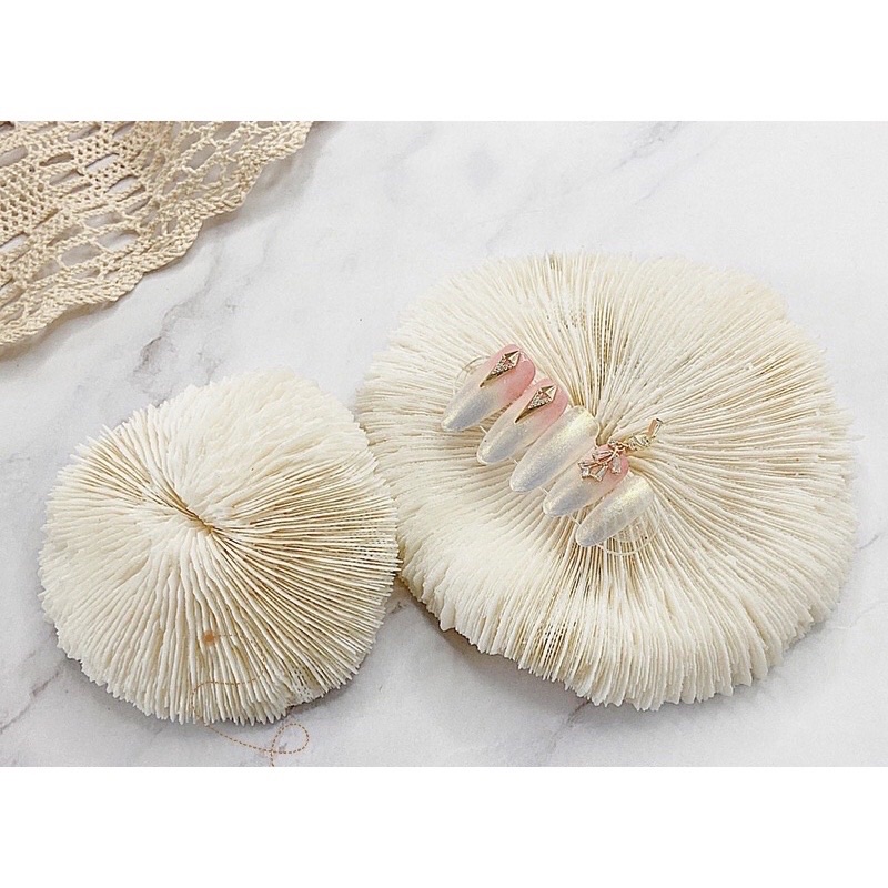 [NNails] Nails phụ kiện chụp ảnh mẫu