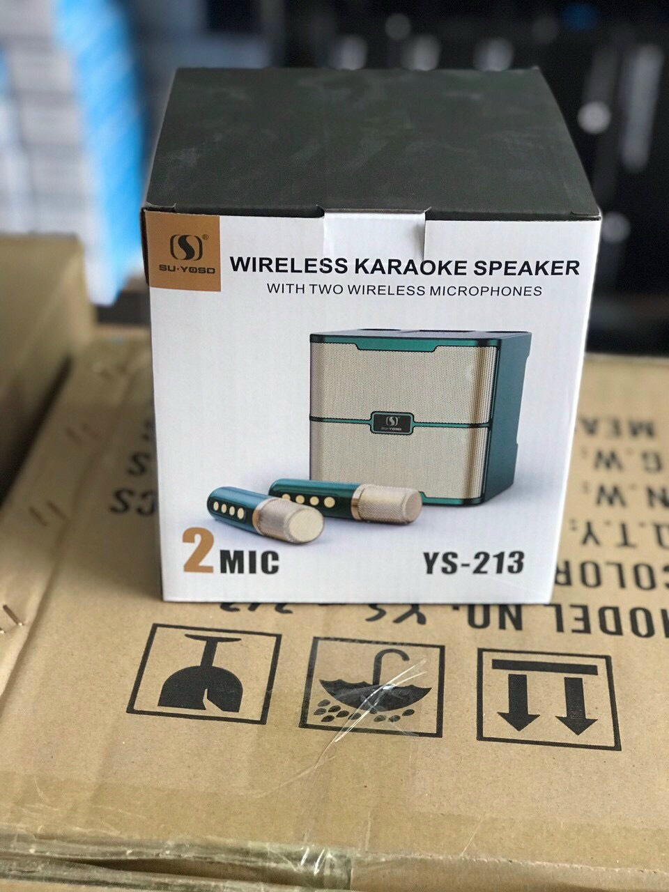 Loa karaoke mini kèm 2 mic YS213