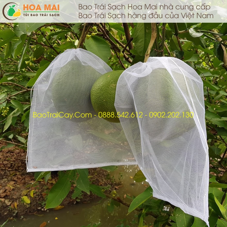 100 Túi bao bưởi 30x35cm Lưới Mùng Trơn
