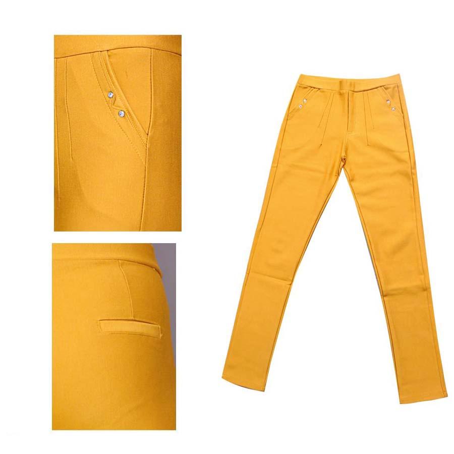 Quần Dài Nữ Lưng Chum Thun Cotton Co Giản 4 Chiều Thd06(lưng tròn 2 nút đá)