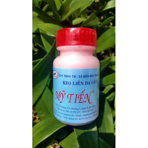 Keo liền da cây Mỹ tiến 100gam
