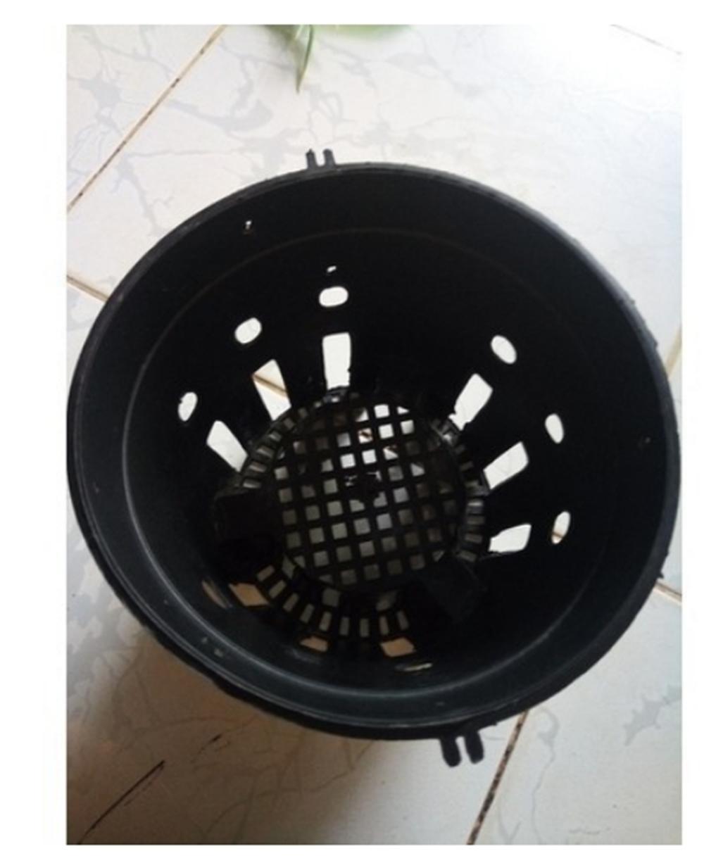 10 Chậu nhựa trồng lan phi 21
