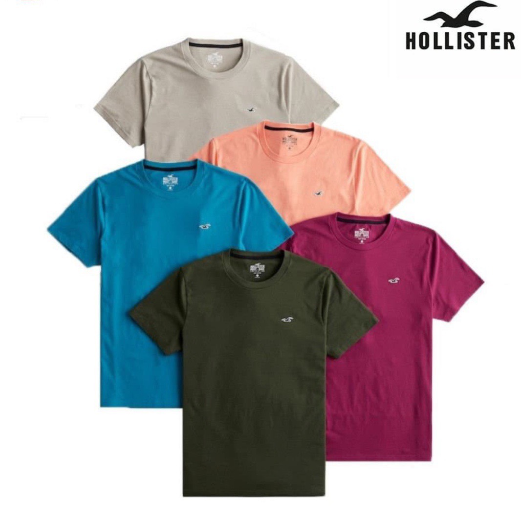 [HCM]Áo Holliter nam xuất dư xịn sò