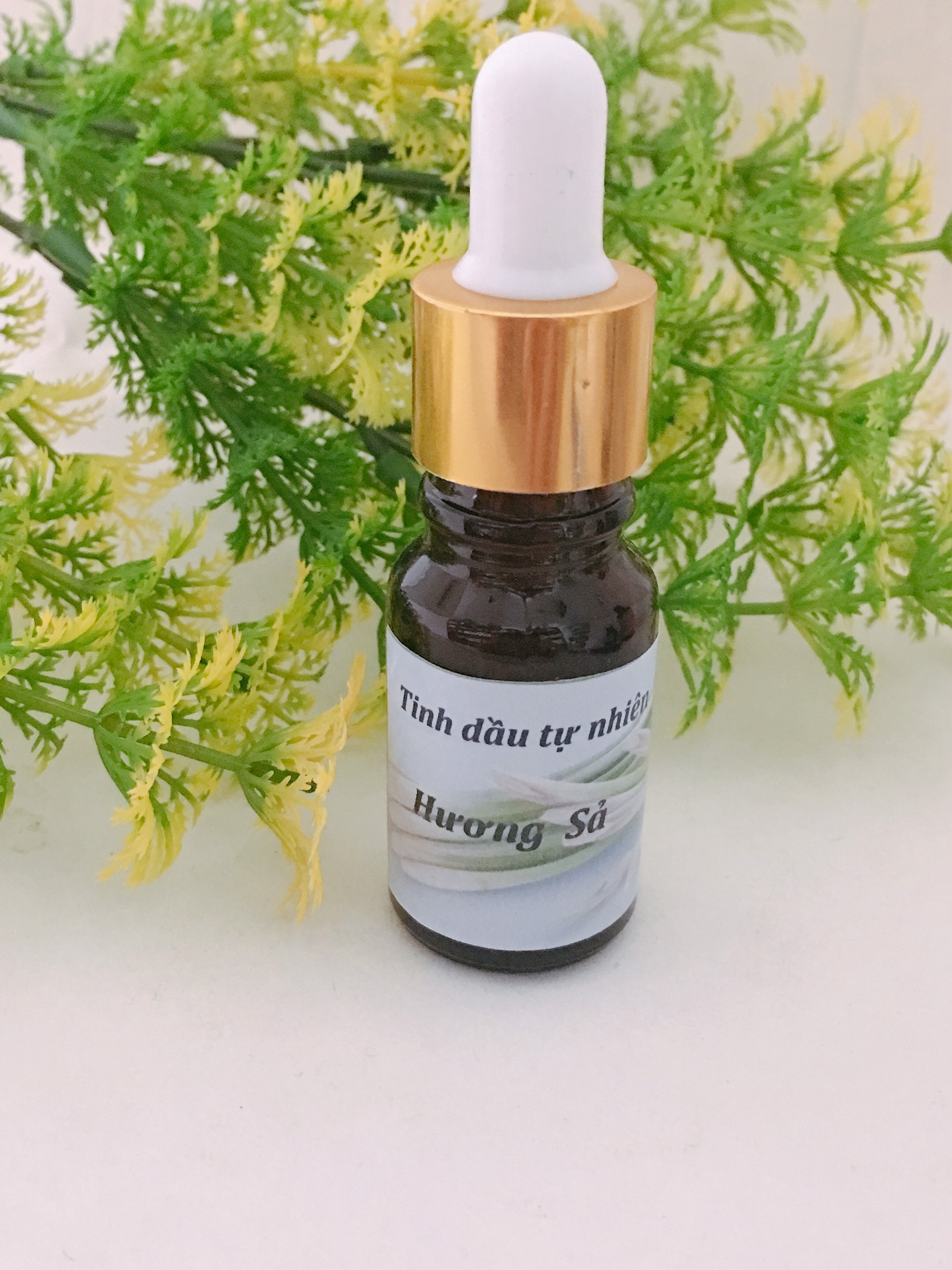 Tinh dầu xông phòng hương Sả Java nguyên chất lọ 10ml