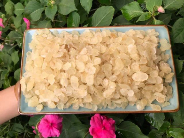 Tuyết yến cao cấp- yến thực vật - 100g
