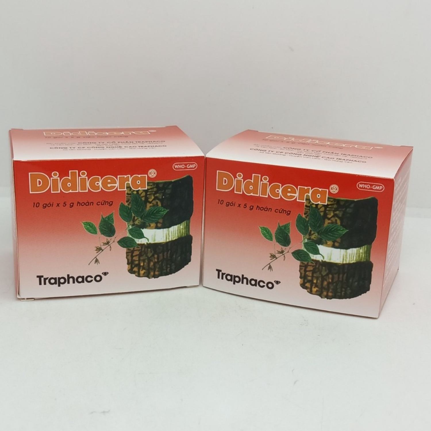 DIDICERA - ĐỘC HOẠT TANG KÝ SINH TRAPHACO