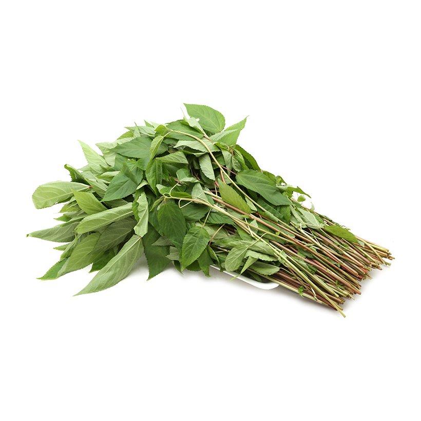 Hạt Giống Rau Đay Đỏ Dễ Trồng, Thu Hoạch Sớm, Liên Tục