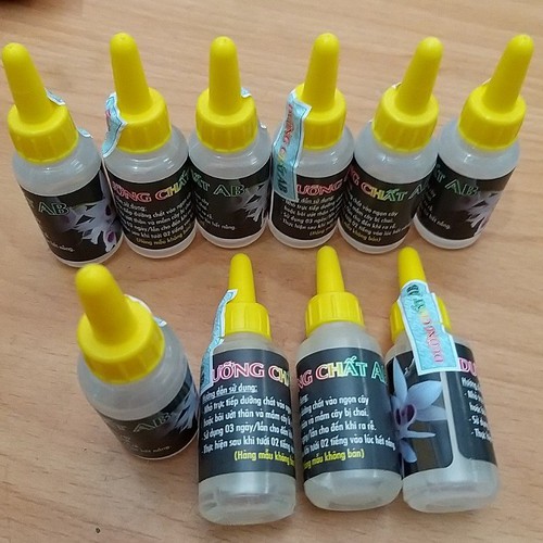 Dưỡng chất AB kích kie cho lan
