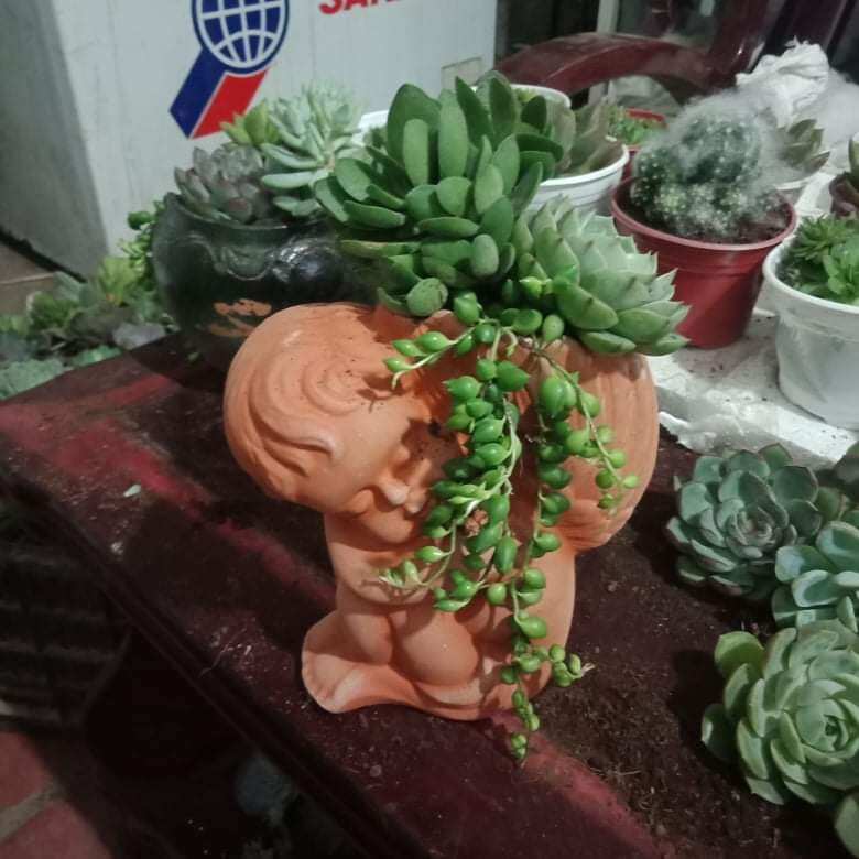 Chậu đất nung hình thiên thần nhỏ