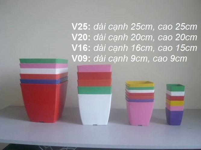 Combo 10 chậu nhưa V20 (vuông cạnh 20cm)