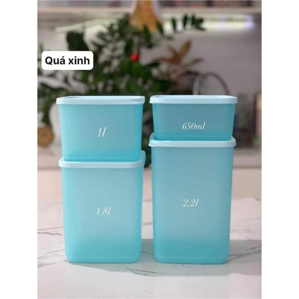 Bộ hộp bảo quản thực phẩm Tupperware Pop Fiesta (08 hộp)