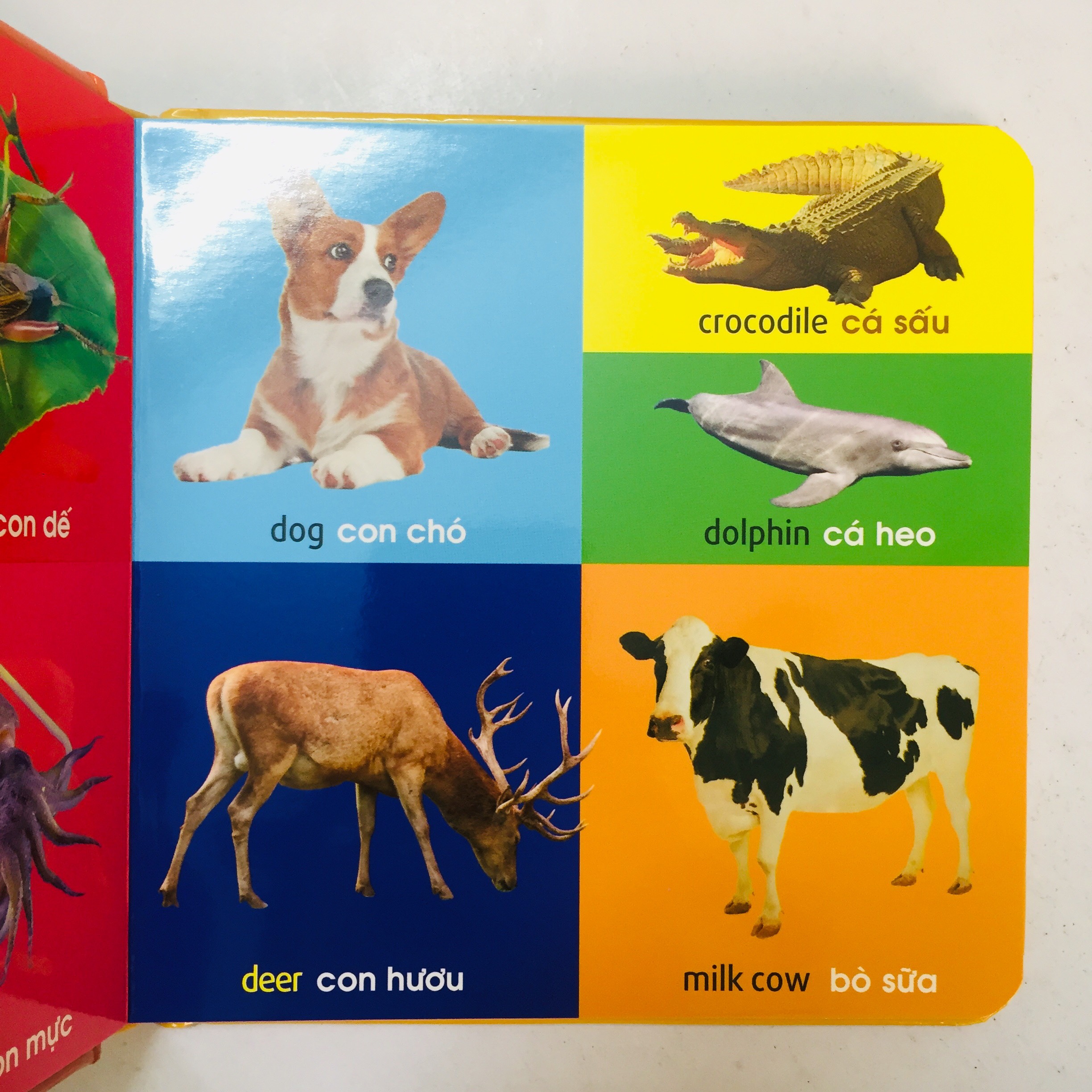 Sách – 101 First Words - 101 Từ Đầu Tiên – Động Vật