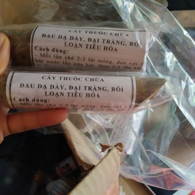 Cây thuoc dac tri dạ dày - tiểu đường - rối loạn tiêu hoá