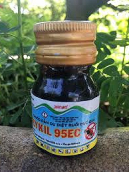 Thu oc dẫn dụ ruồi đục trái, hoa quả FLYKILL 20ML (tặng 1 lồng bẫy ruồi có sãn bông )