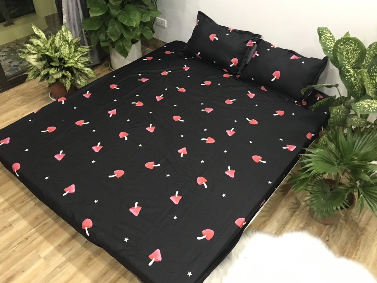 Bộ ga gối cotton poly 3 món họa tiết kẻ râu