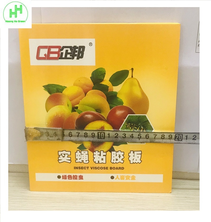 5 Miếng Dính Bẫy Côn Trùng , Bẫy Ruồi Vàng 22x40cm