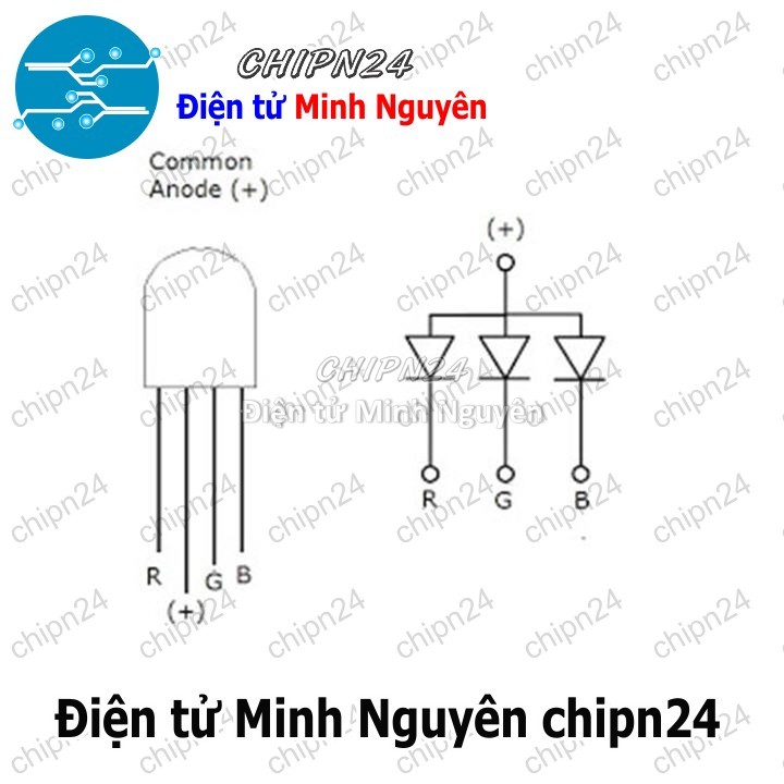 [10 con] (TK18, H15) Led 5mm Trong 7 Màu RGB 4 chân Dương chung - HH000906