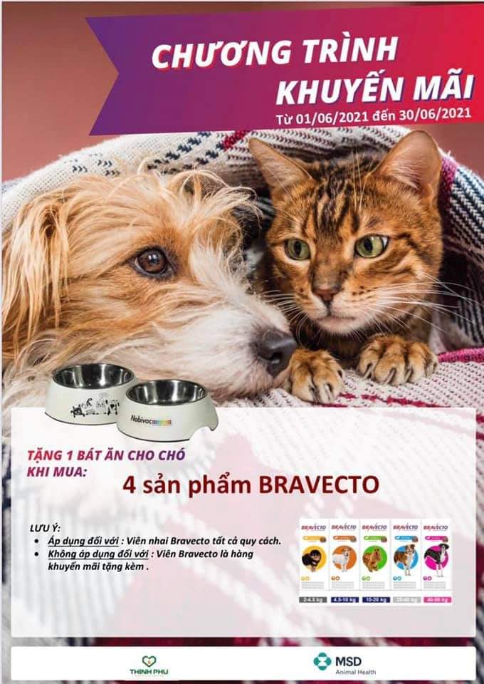 bravecto dành cho chó mèo