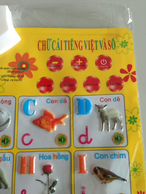 Bảng Đọc Chữ Cái, Số Và Từ Vựng Cho Bé.