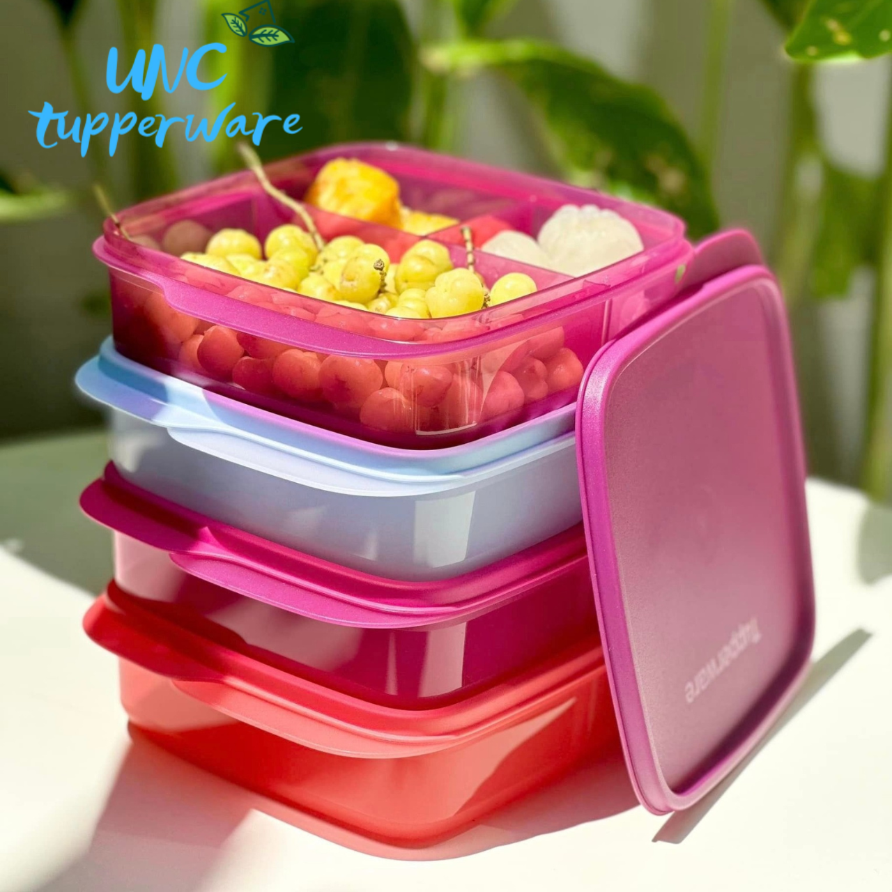 Hộp cơm Tupperware Lolly Tup 550ml