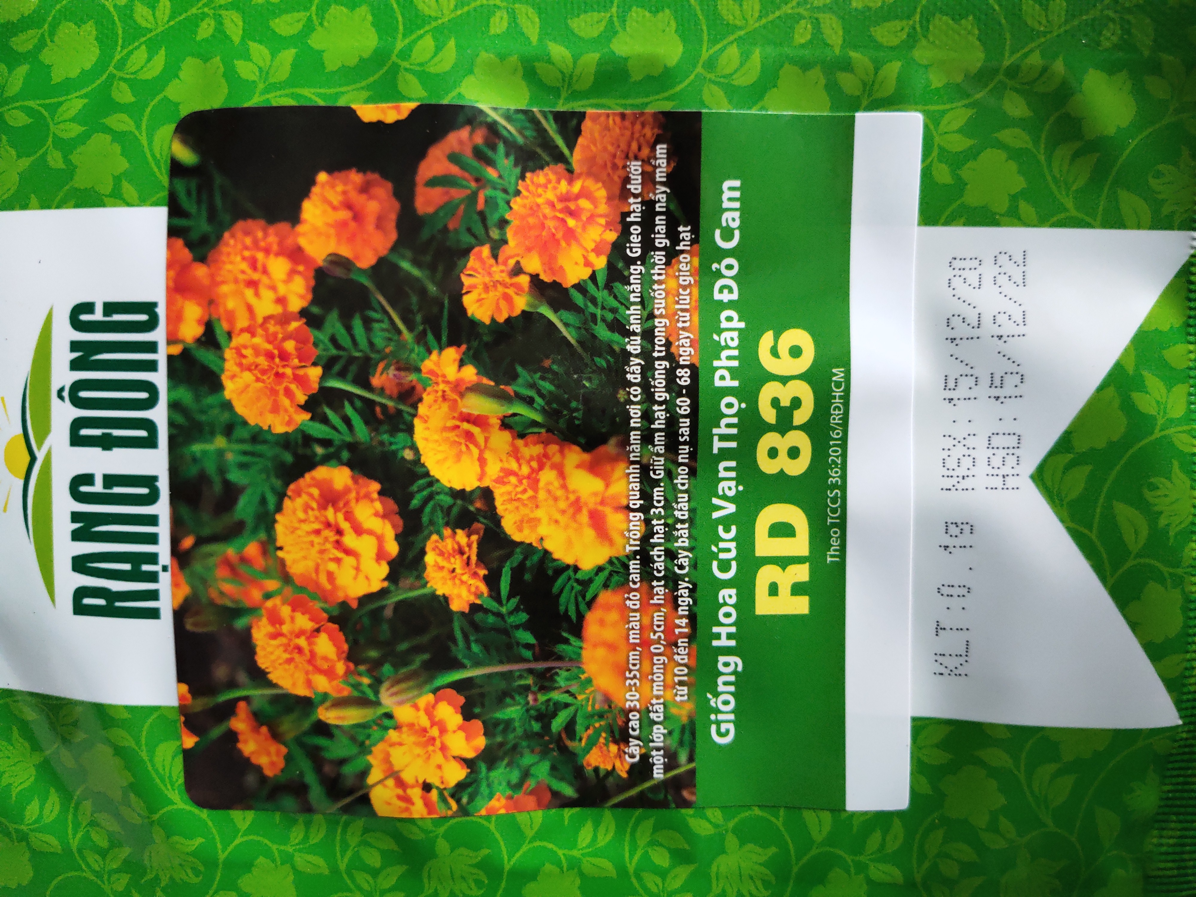 Hạt Giống Cúc Vạn Thọ Pháp Đỏ Cam Gói 0.1gr