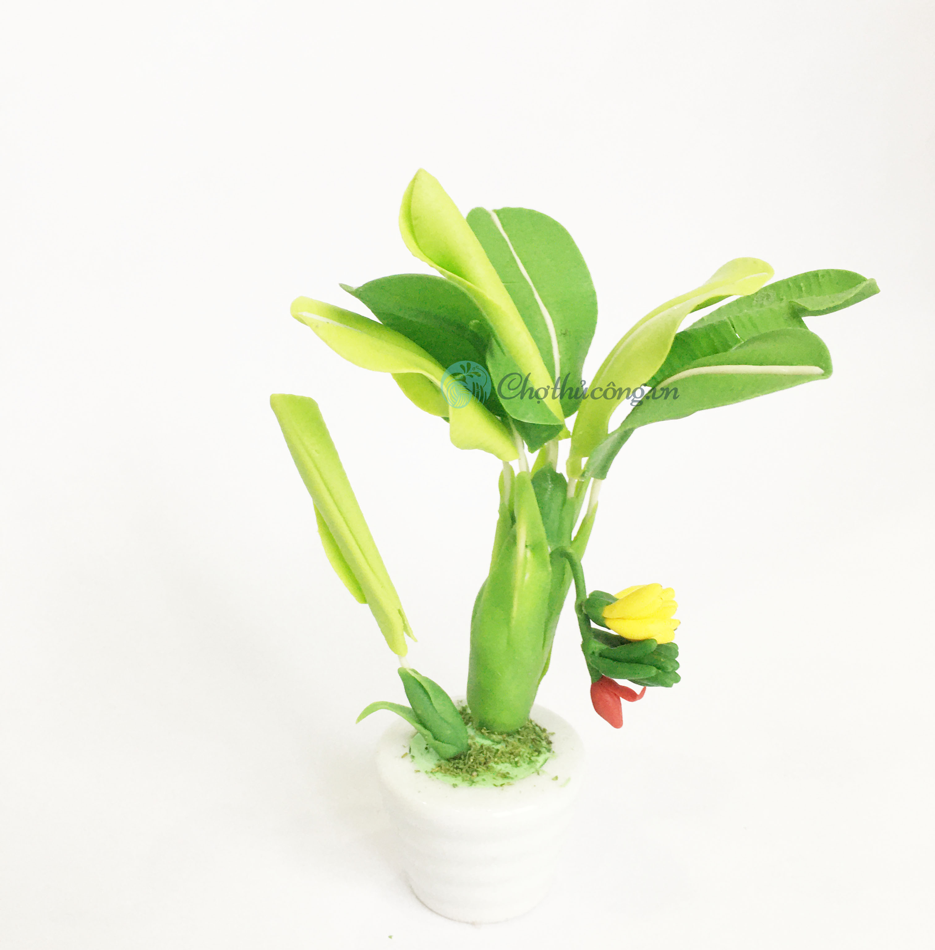 Handmade mini clay flower pot - Homeland banana bush - Decor, gift