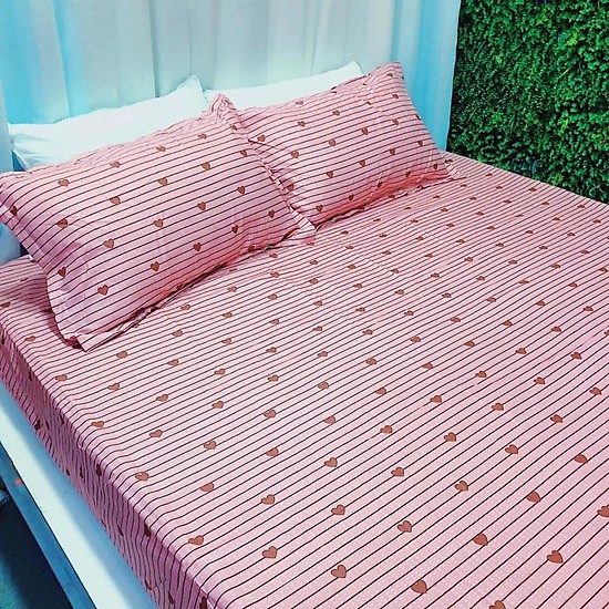 Set 3 Món Ga Gối  Poly Mẫu Tim Hồng (mẫu mới)
