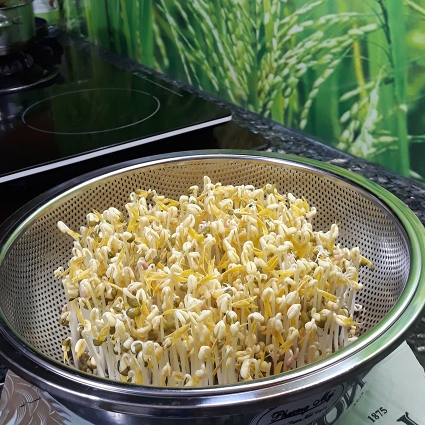Dụng cụ làm giá bằng inox Phương My