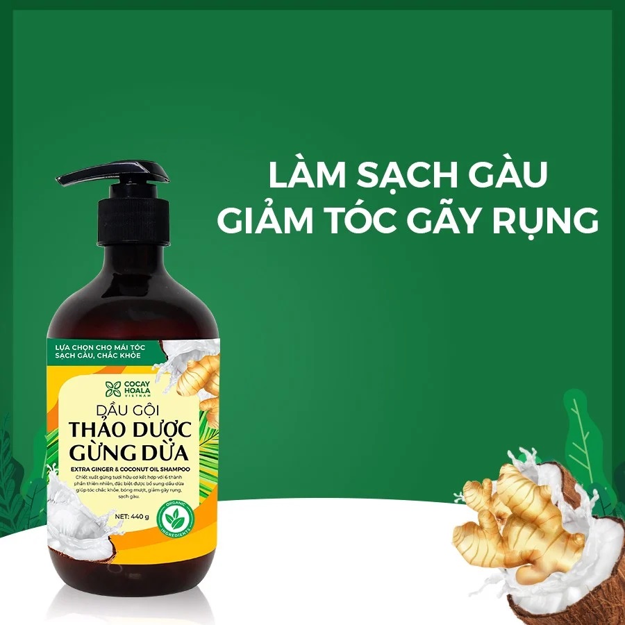 [HCM]Dầu Gội Thảo Dược Hà Thủ Ô Cocayhoala 300ml 2in1