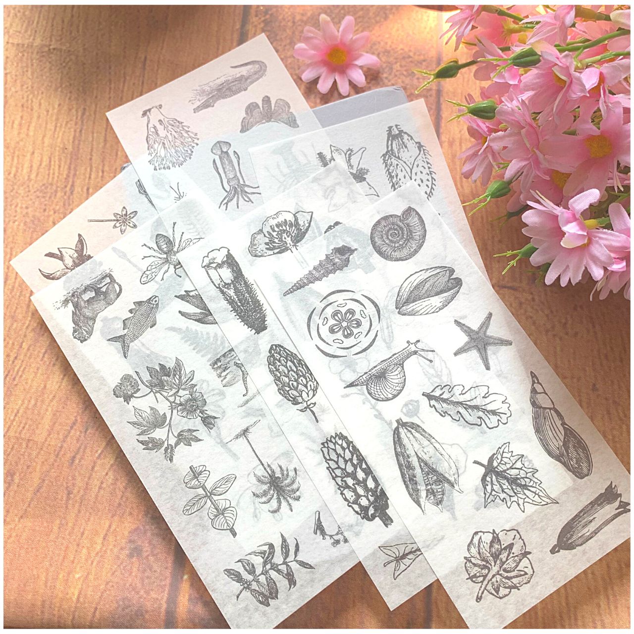 [HCM]Bộ 6 Tấm Sticker Hoa Cổ