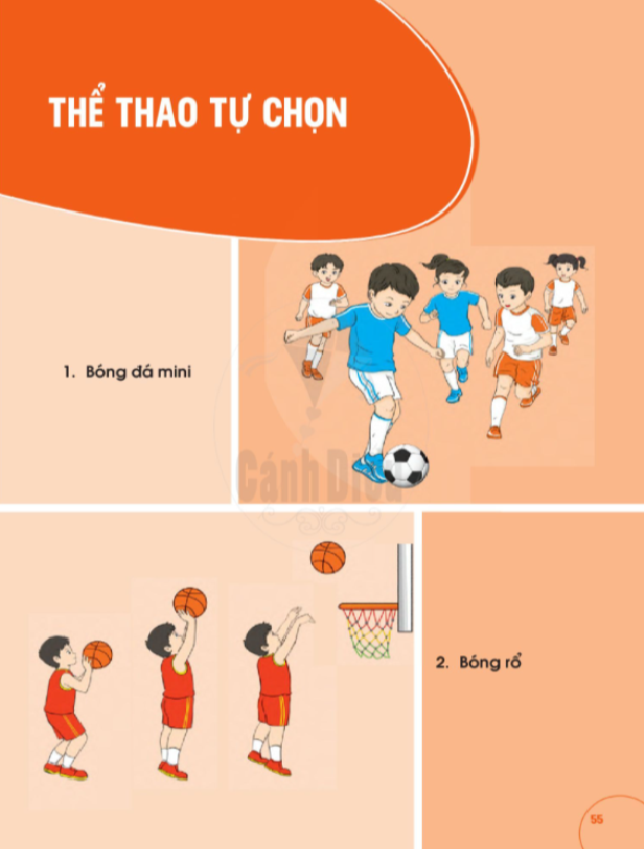 Giáo Dục Thể Chất 1 - Cánh Diều