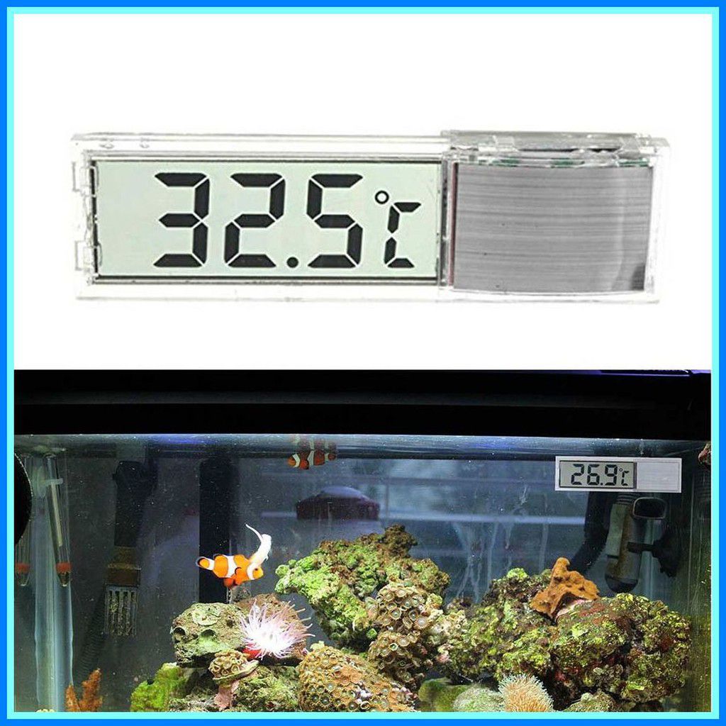 Nhiệt Kế Dán Hồ Cá Đo Nhiệt Độ Hồ Cá