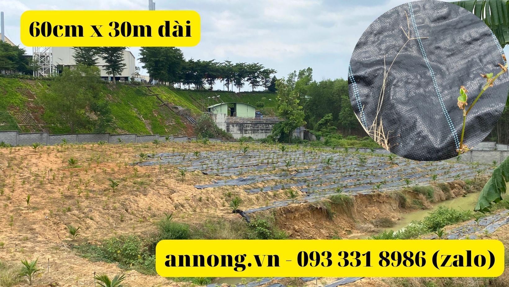 Bạt phủ luống chống cỏ 60cm x 30m dài 120g/m2 (kèm 30 ghim/tấm)