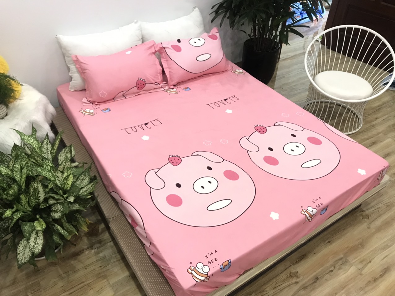 Set Ga Gối 3 Món (Gồm 1 Ga bo chun + 2 Vỏ Gối Nằm) Mẫu Heo Hồng CH211
