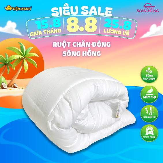 Ruột Chăn Đông Sông Hồng phân phối chính hãng tại Đệm Xanh