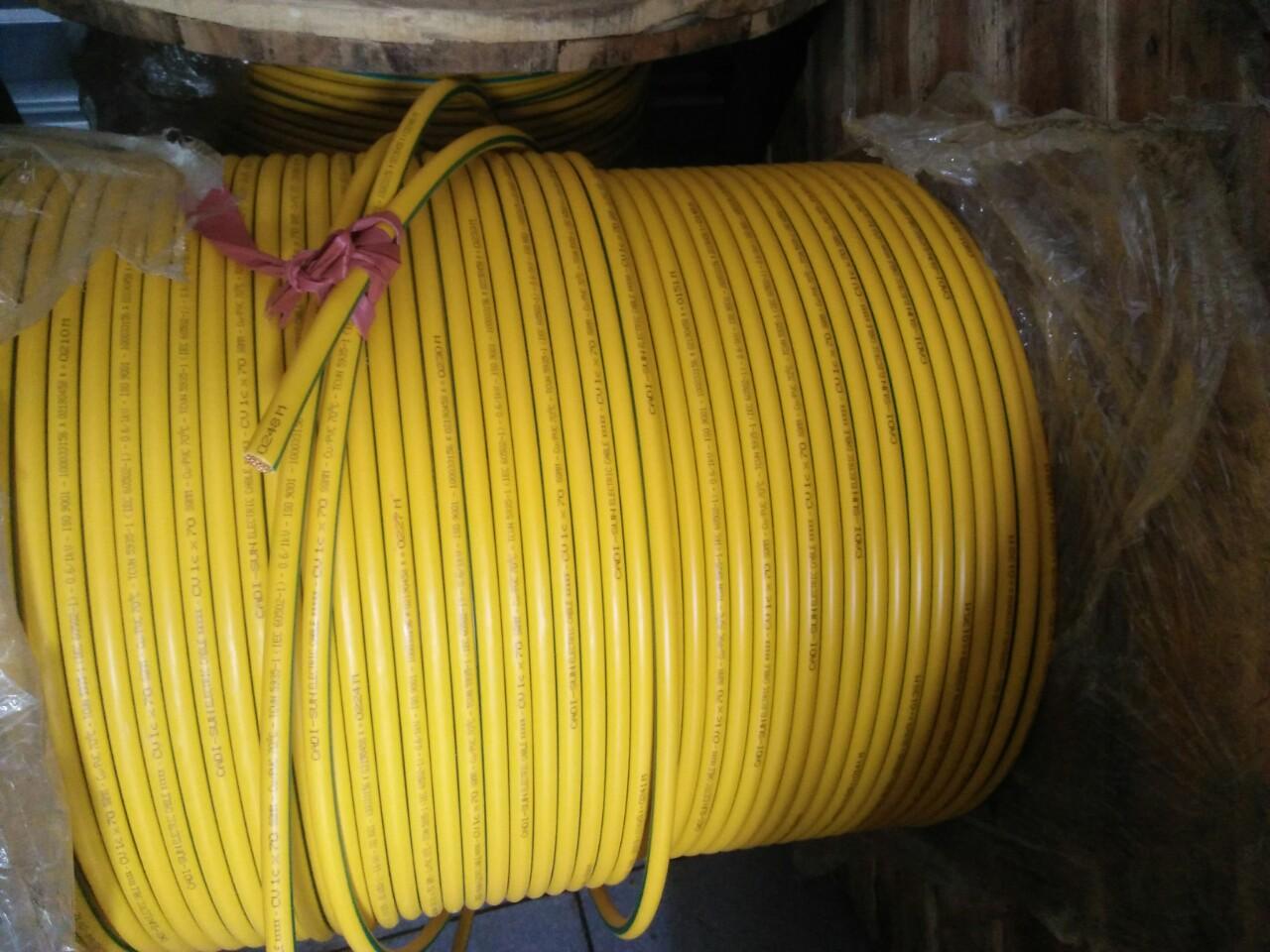 Dây tiếp địa CADISUN, thiết diện 1x25mm2