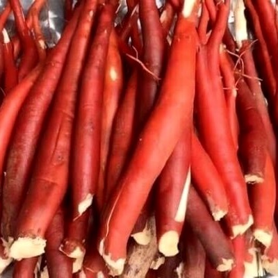 1kg Sâm cau đỏ khô, chuẩn hàng loại 1 GT113