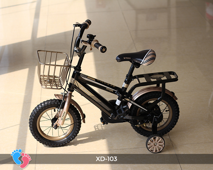 Xe đạp cao cấp cho bé BABY PLAZA XD-103