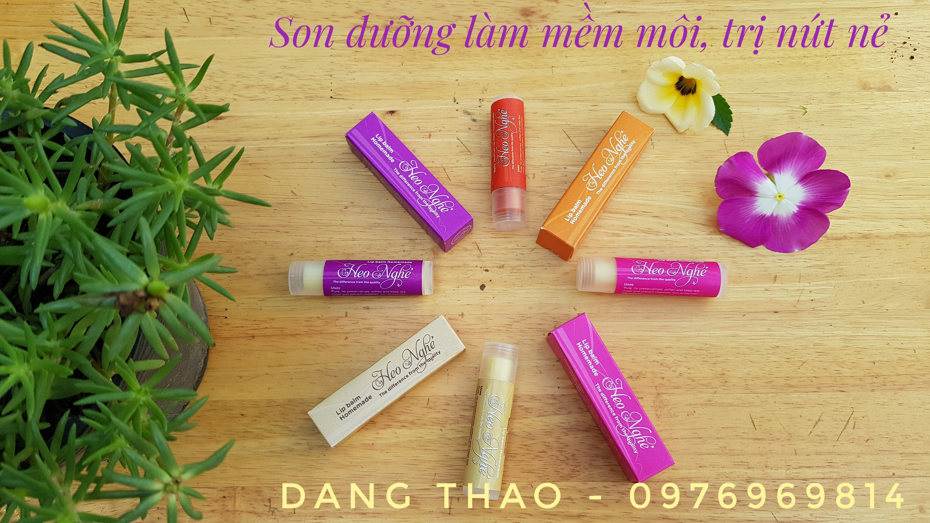 SON DƯỠNG MÔI DẦU DỪA, DẦU GẤC HEO NGHÉ