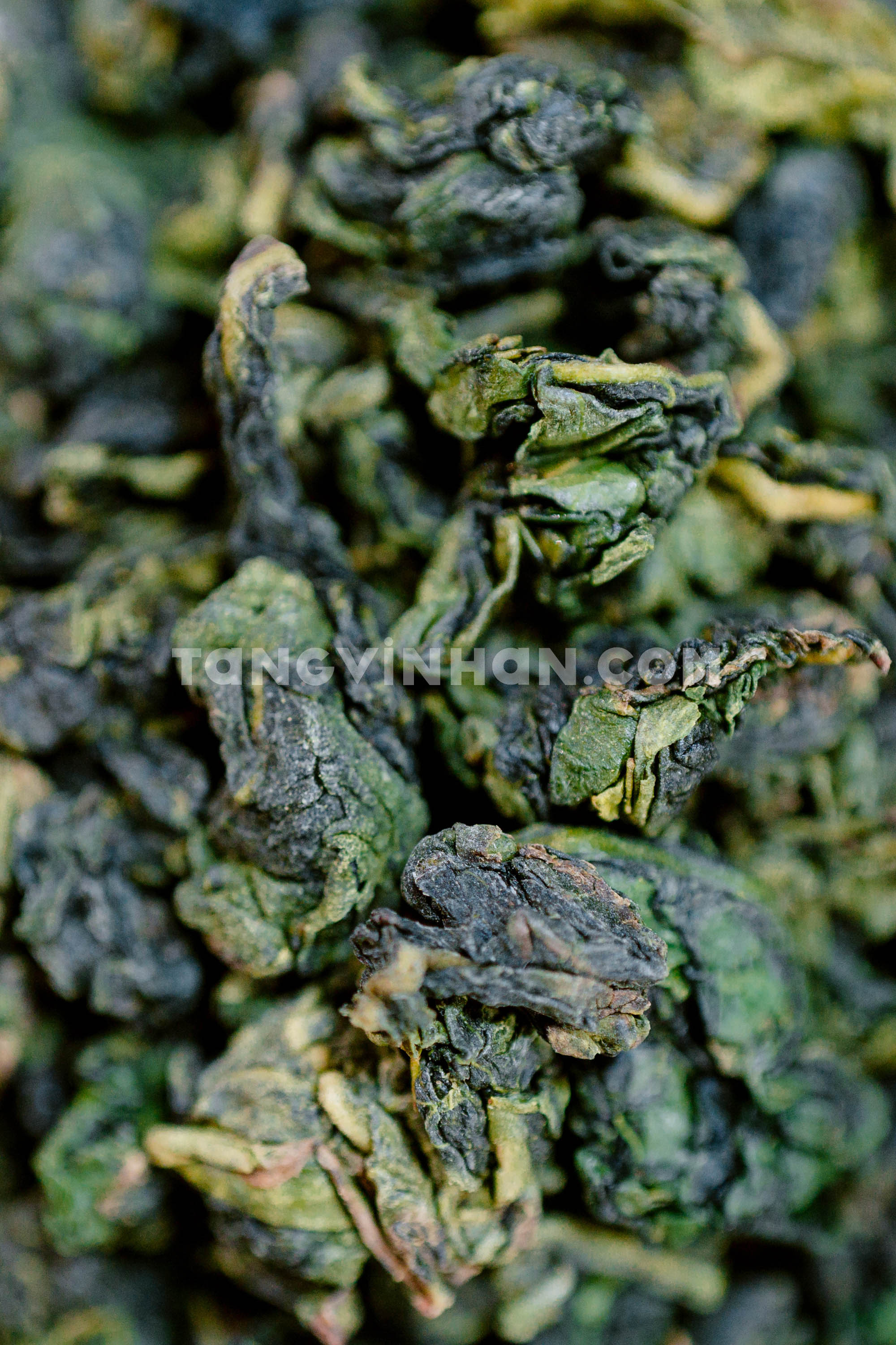 Thiết Quan Âm Đặc Biệt 200gr - Tằng Vĩnh An