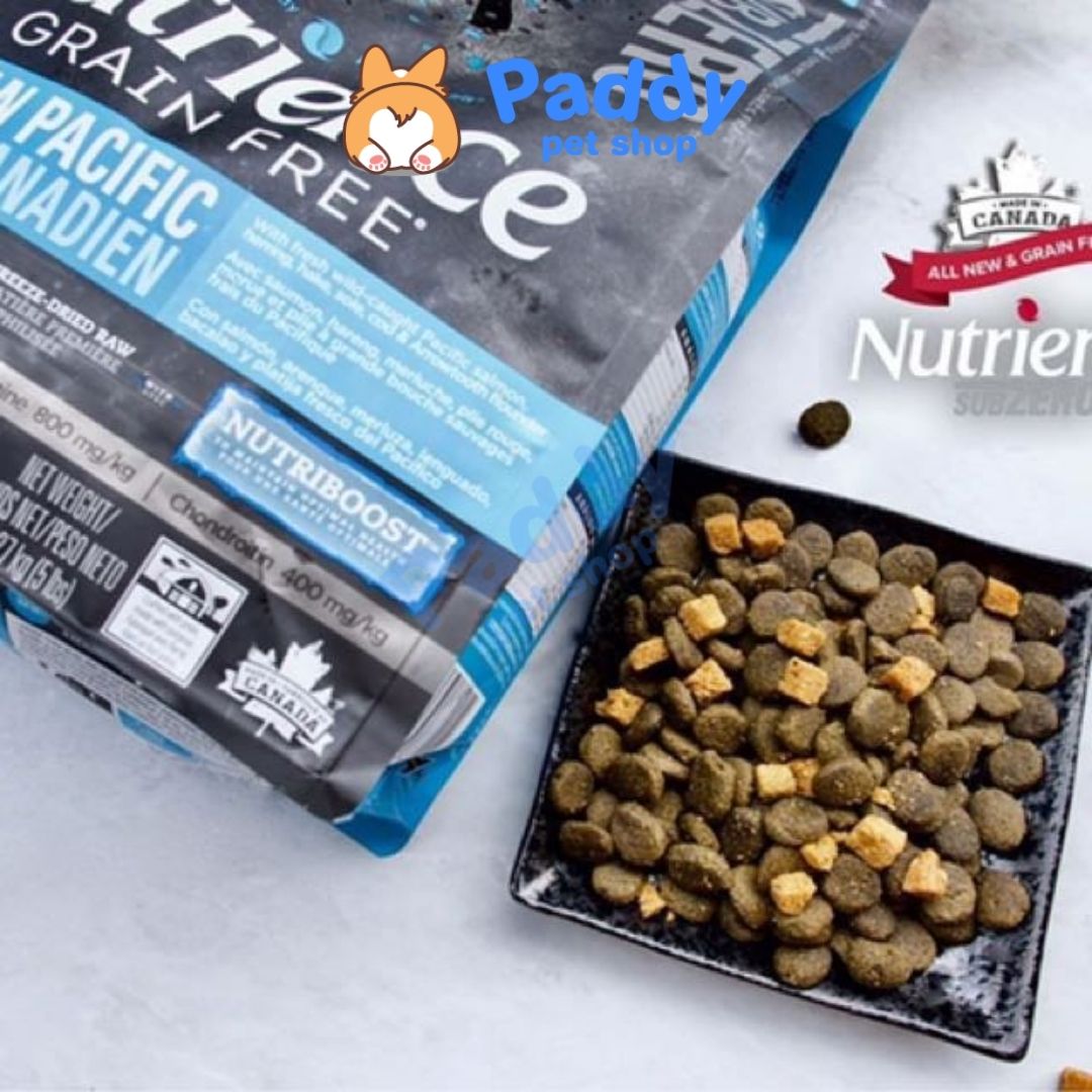 Hạt Nutrience SubZero Cho Mèo Mọi Độ Tuổi (Nhập khẩu Canada)