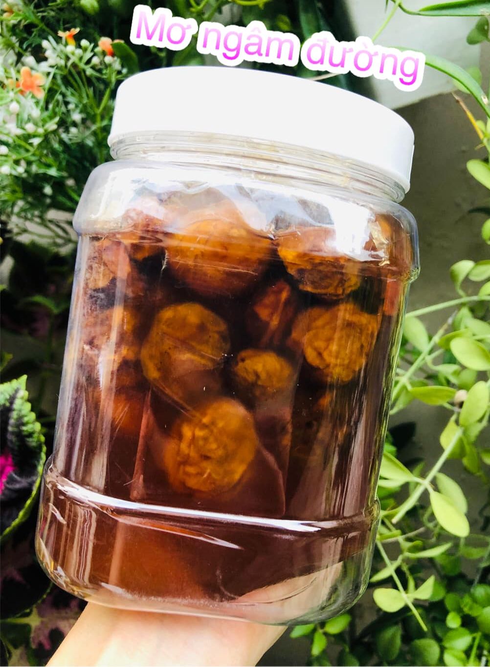 mơ ngâm đường giải khát hủ 1kg