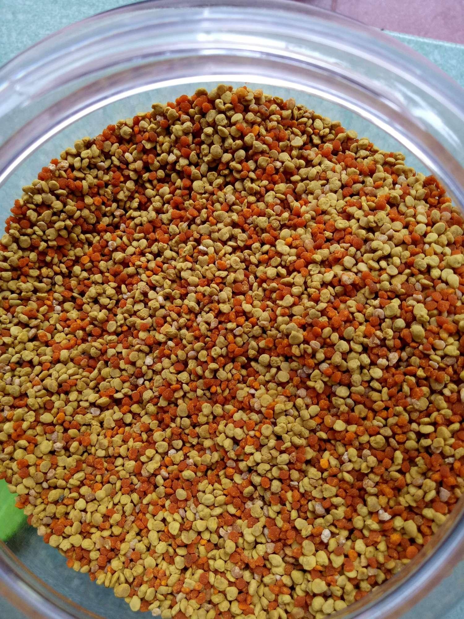 500g Phấn hoa rừng hảo hạng