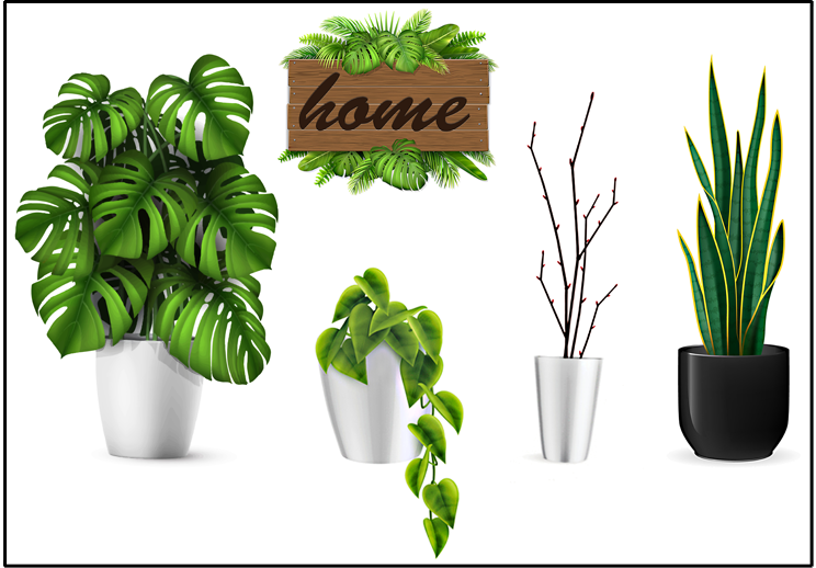 Decal dán tường CHẬU CÂY LỚN (HOME) - Trang trí nhà cửa - THUTHAODECOR