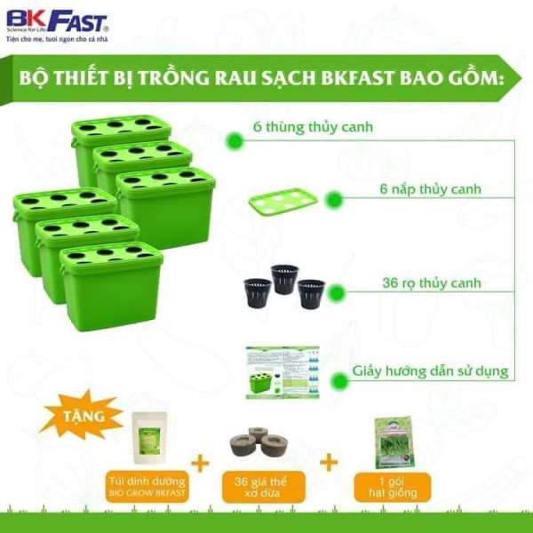 Thiết bị trồng rau thuỷ canh BKFast gồm 36 rọ 6 thùng- Dễ dàng trồng rau sạch tại nhà