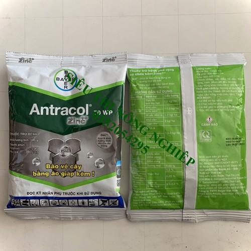 Sản phẩm trừ nấm bệnh - ANTRACOL 70WP 100gr